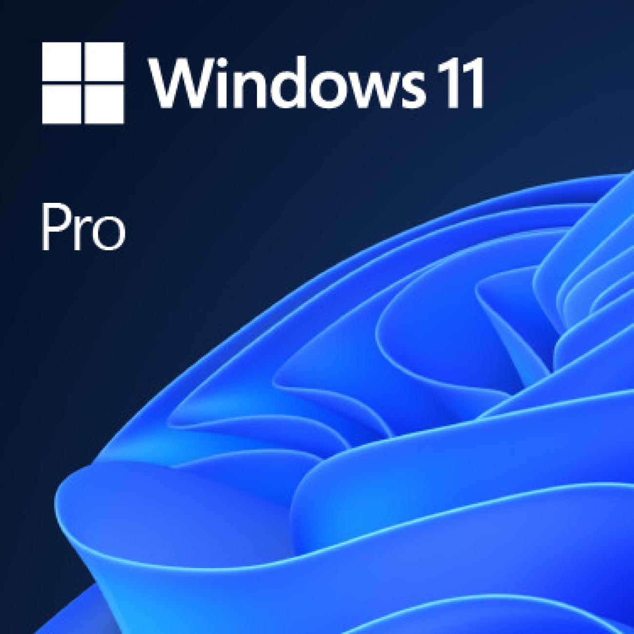 Microsoft Windows 11 Pro 64-Bit FPP 1 licenza Sistema Operativo su Chiavetta USB